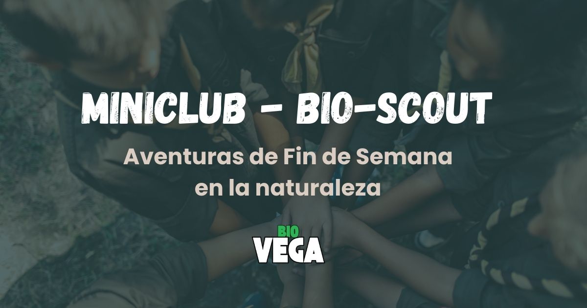 MiniClub BioScout | Actividades Infantiles en Naturaleza