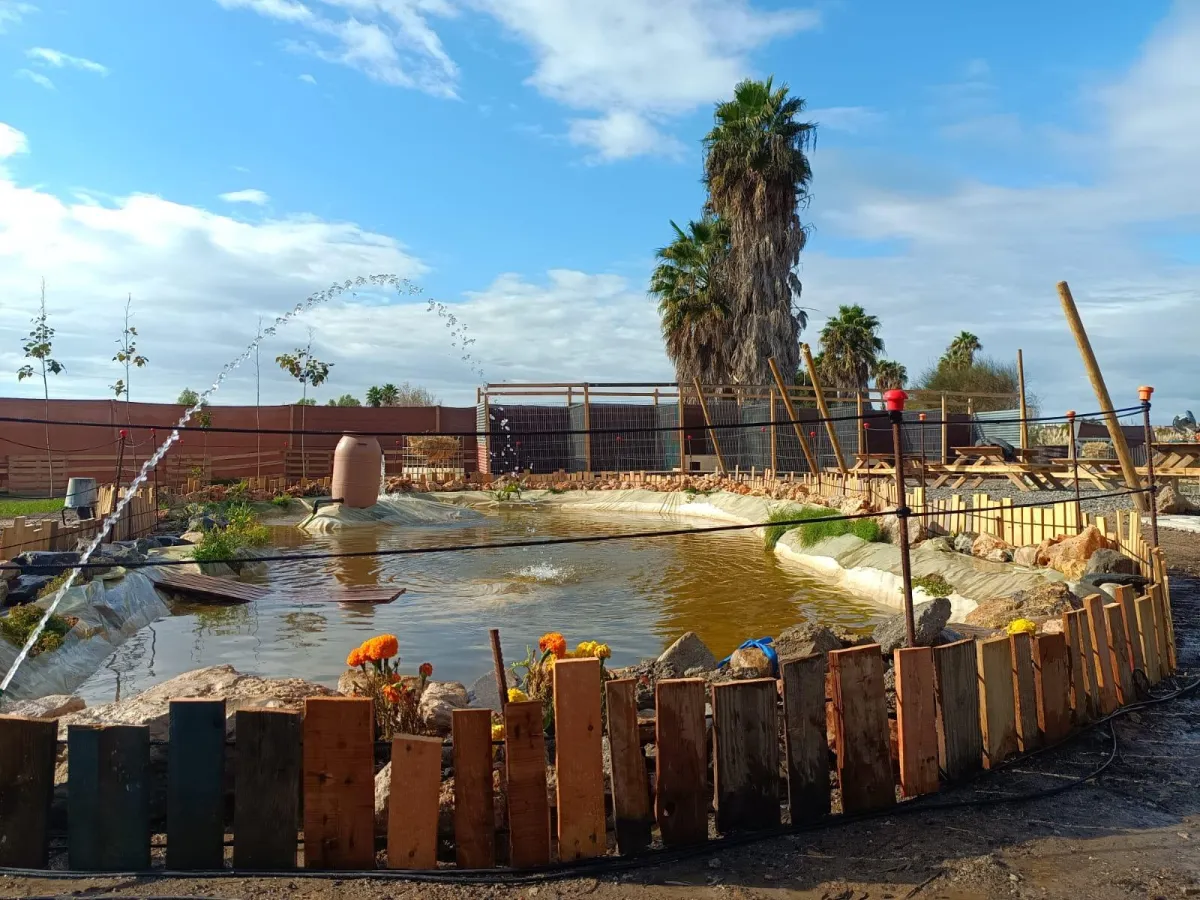 Actividad educativa en la naturaleza en BioVega