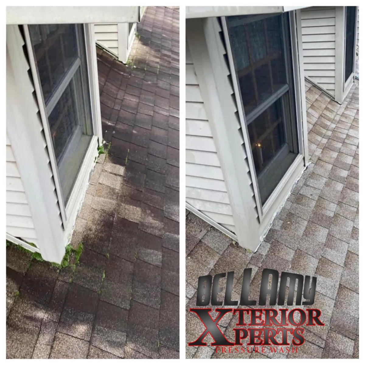 before and after roof cleaning in Paducah KY showing algae removal