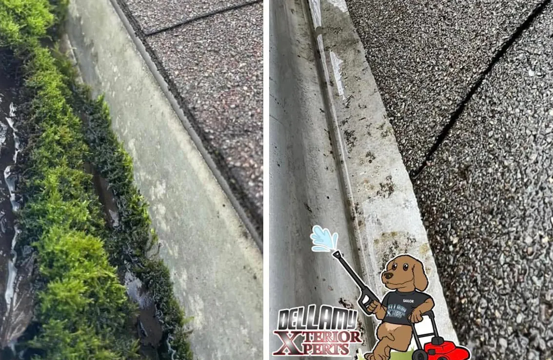soft wash roof cleaning asphalt shingles Paducah KY