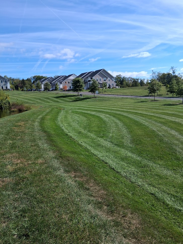 Reading Pressure Washing
