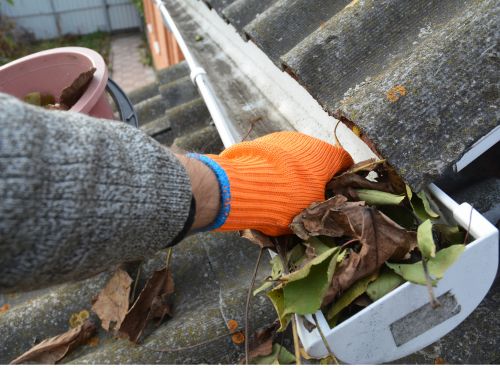 Limerick Gutter Cleaning