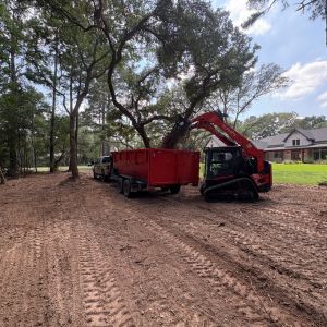 Land Clearing College Station