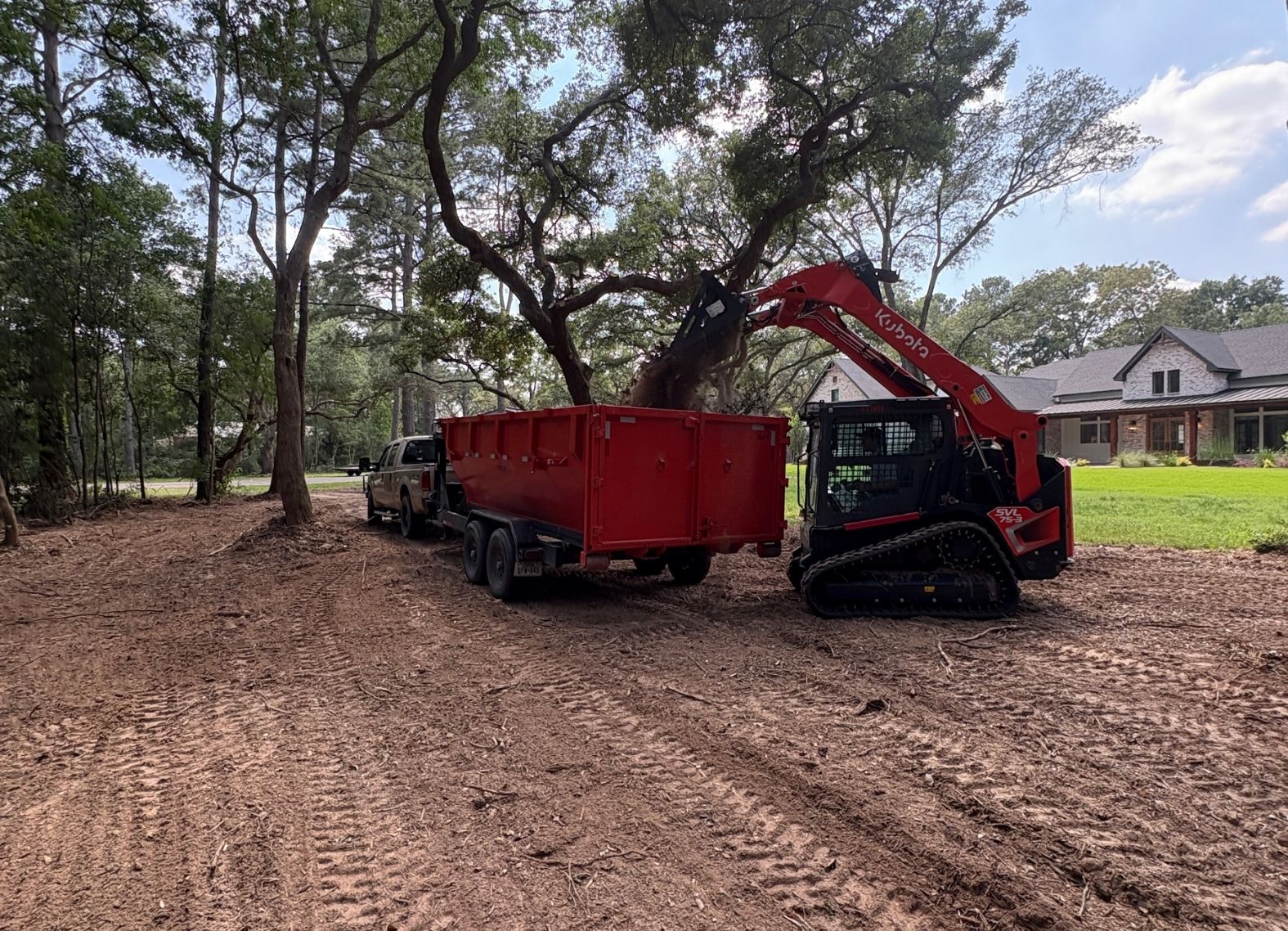 Cypress Land Clearing