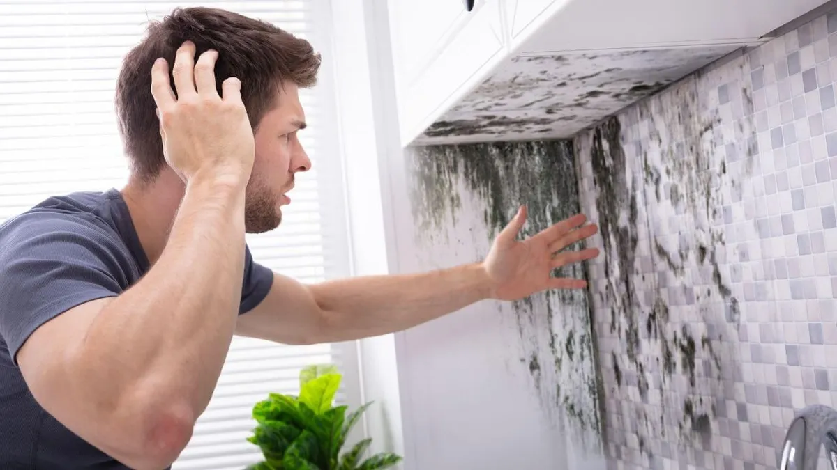 Tips for Preventing Mold Growth in Your Kauai Home