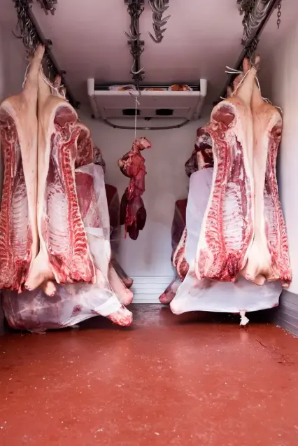Comparativa de carne fresca de frigorífico frente a bandeja de supermercado