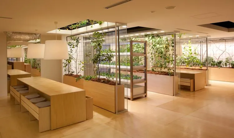 Longevity-Focused Design