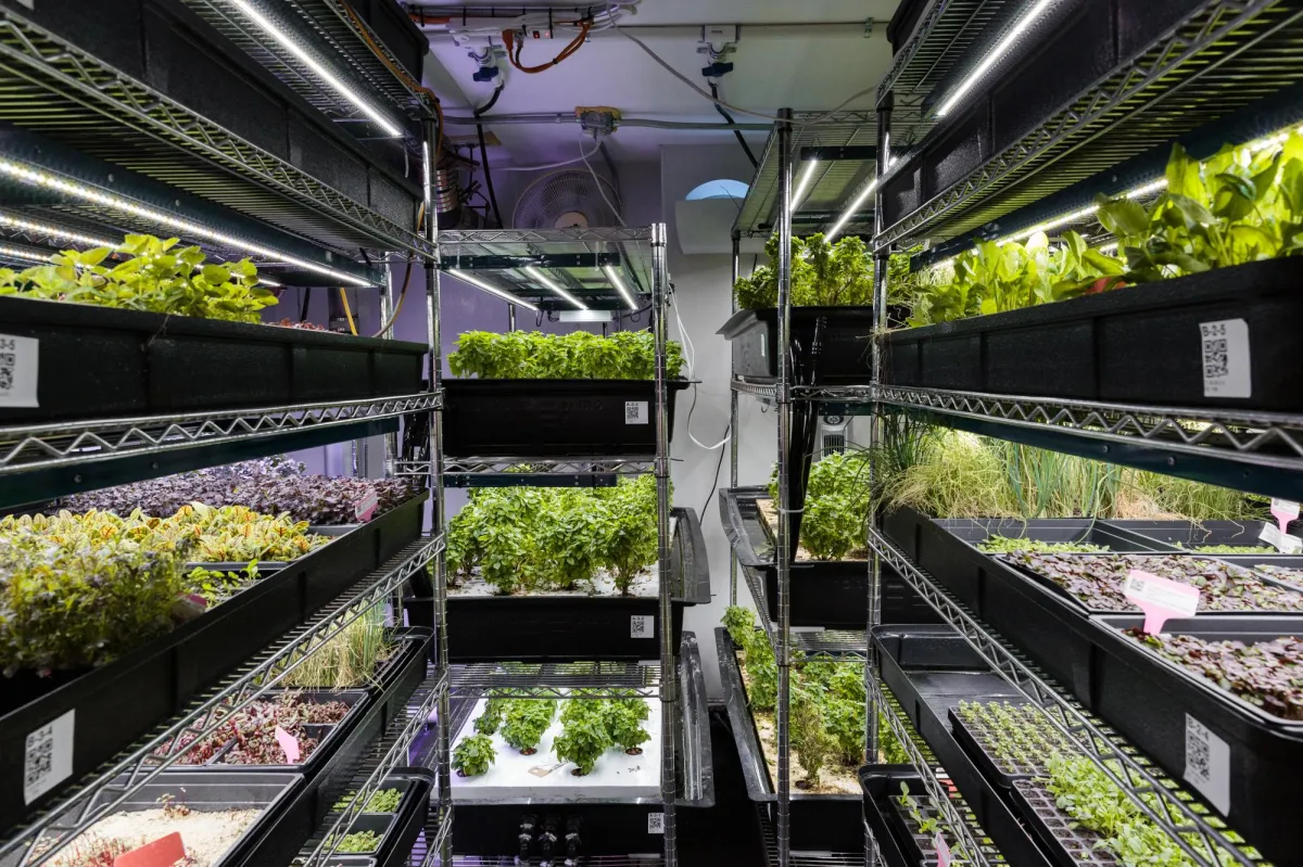 Spa & Sensory Architecture