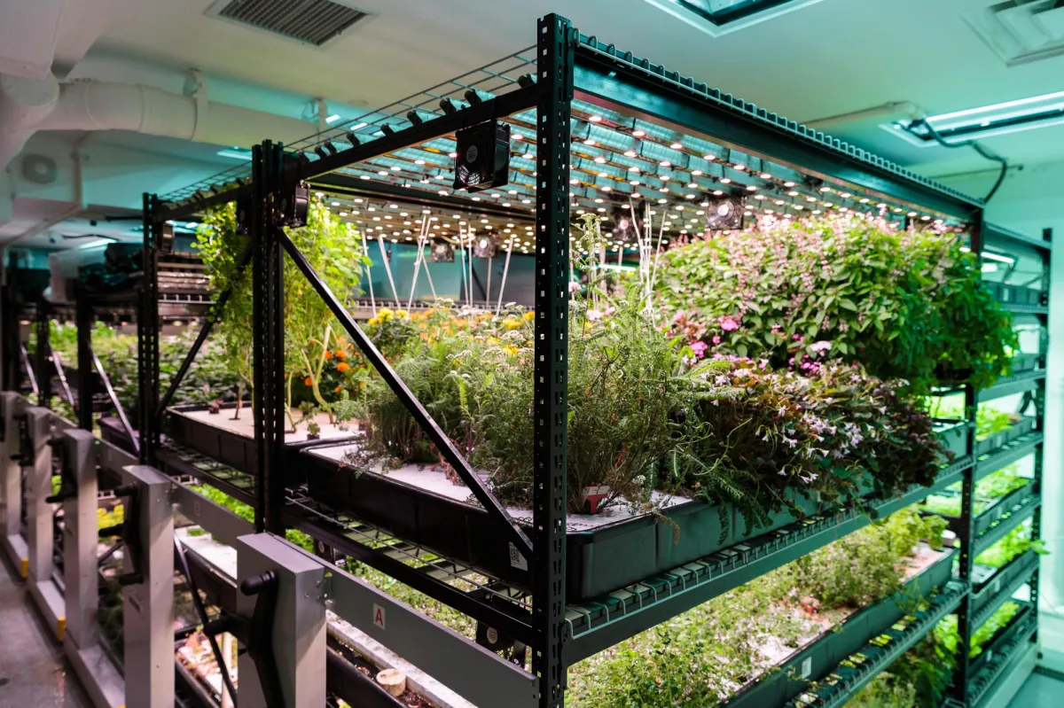 Sustainable & Regenerative Architecture