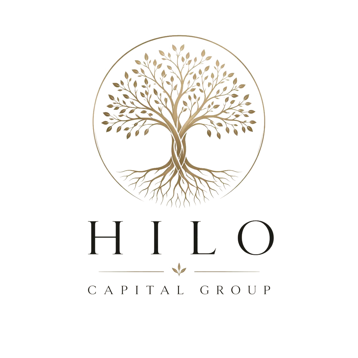 Hilo Capital Group