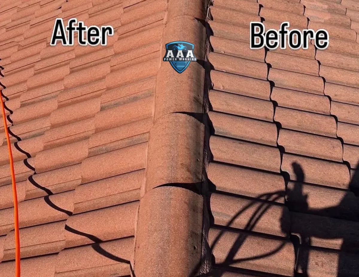 Kendall, Miami-Dade — Black algae removed, soft wash only