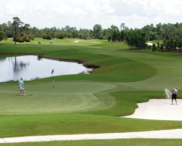 Gazebo and outdoor gathering space