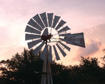 Gazebo and outdoor gathering space