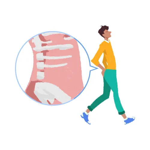Illustration of aligned human spine representing Vyayama Physio’s spine and posture care program in Yemalur, Bellandur, HAL, Marathahalli, Bengaluru