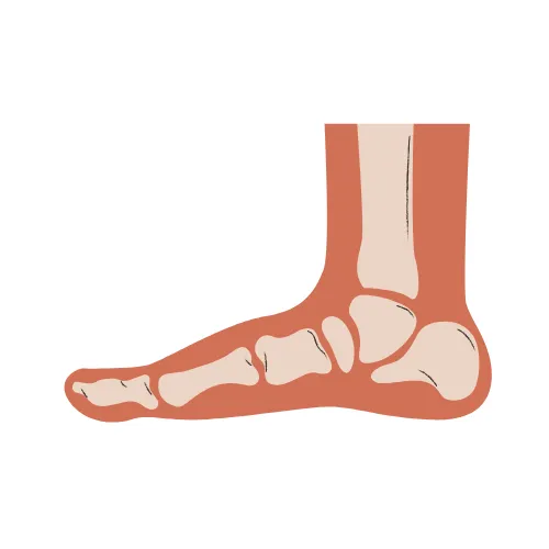 Illustration of foot and heel support symbolizing plantar fasciitis and Achilles tendon care by Vyayama Physio