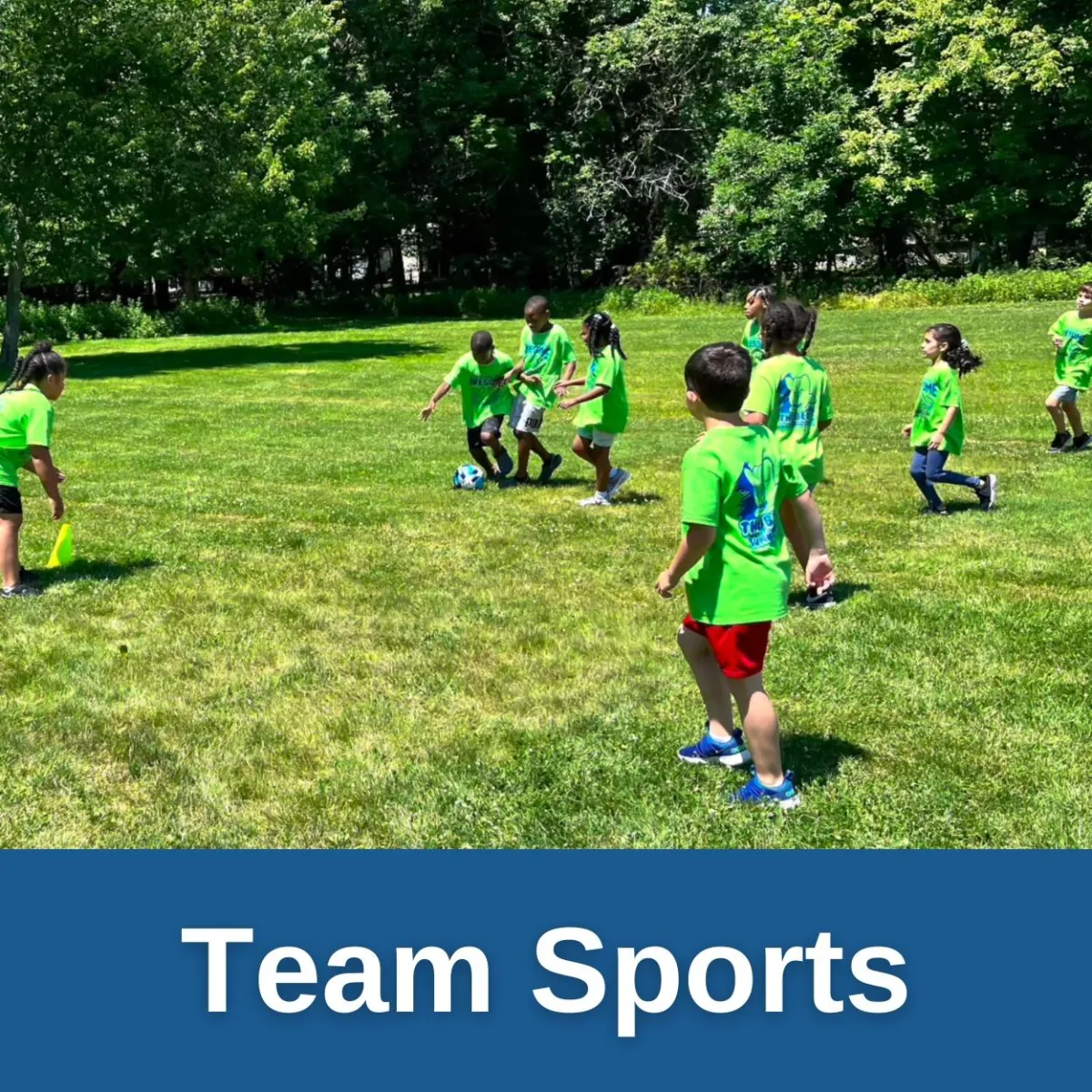 Summer Camp Team Sports!