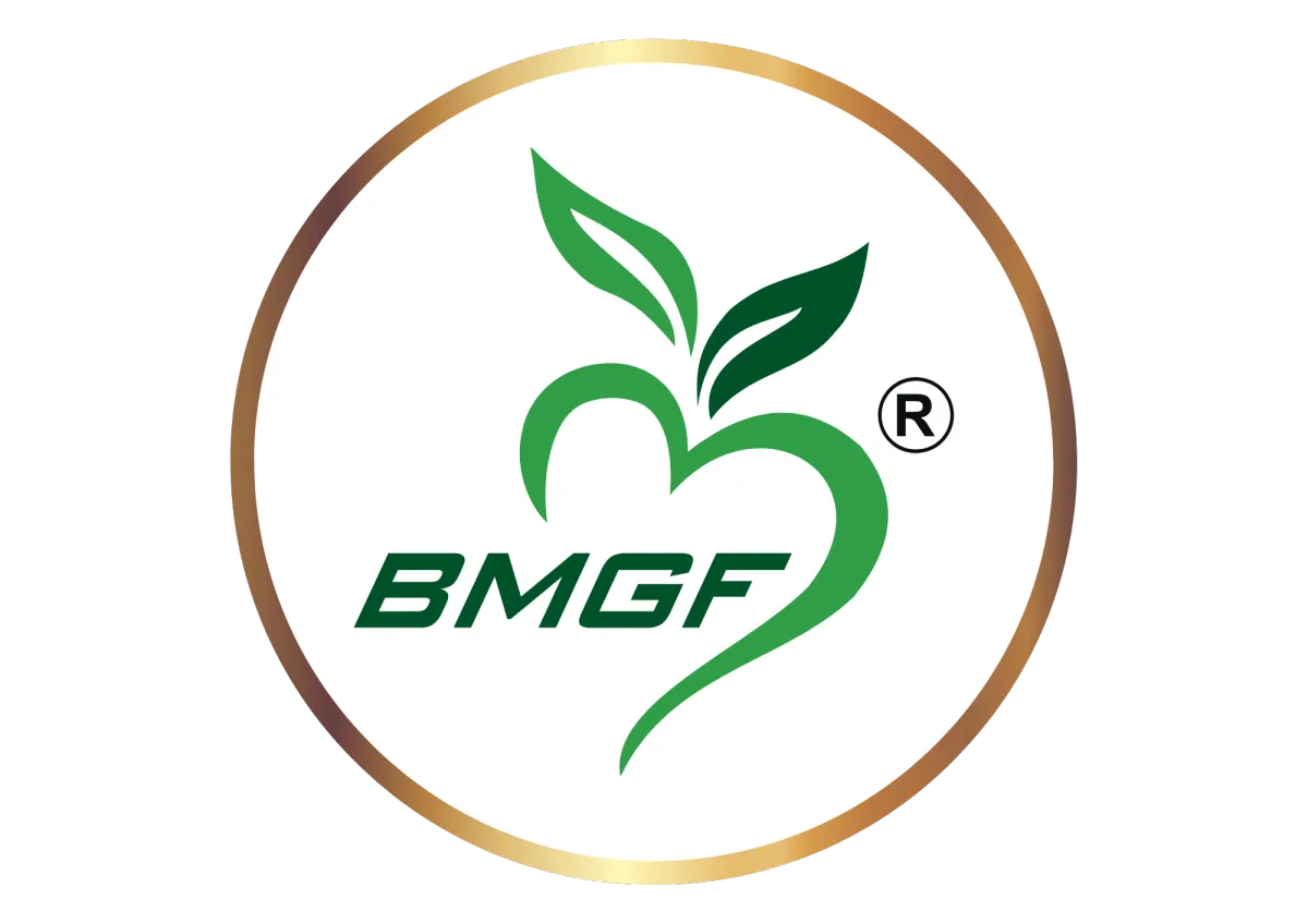 BMGF Logo