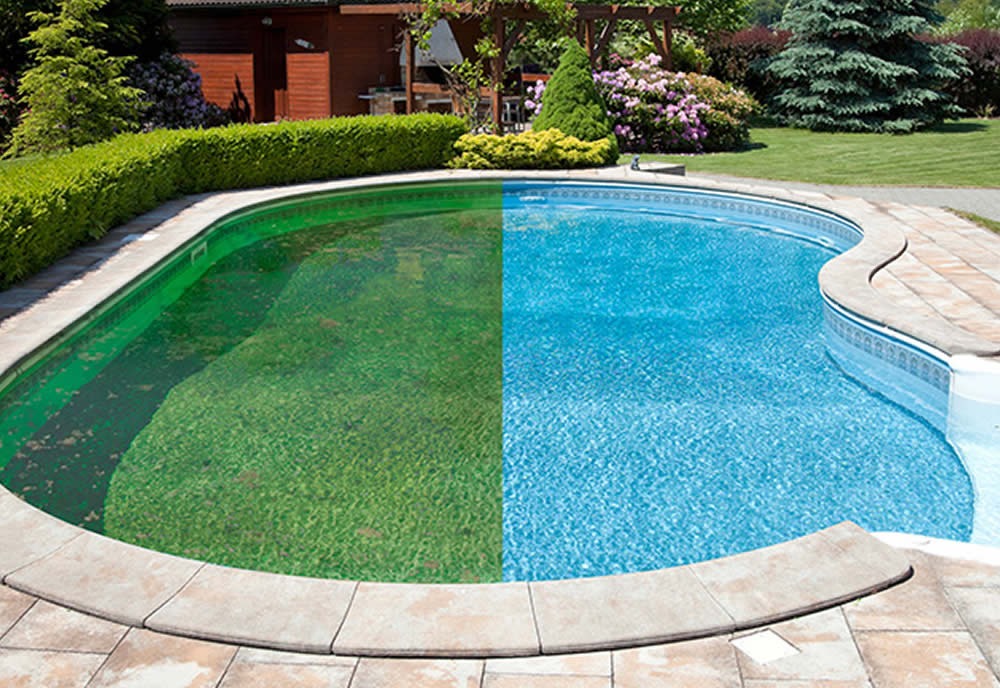 Green Pool Cleanup in Temecula, CA