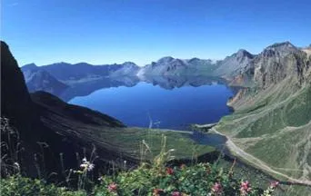 changbai moutant