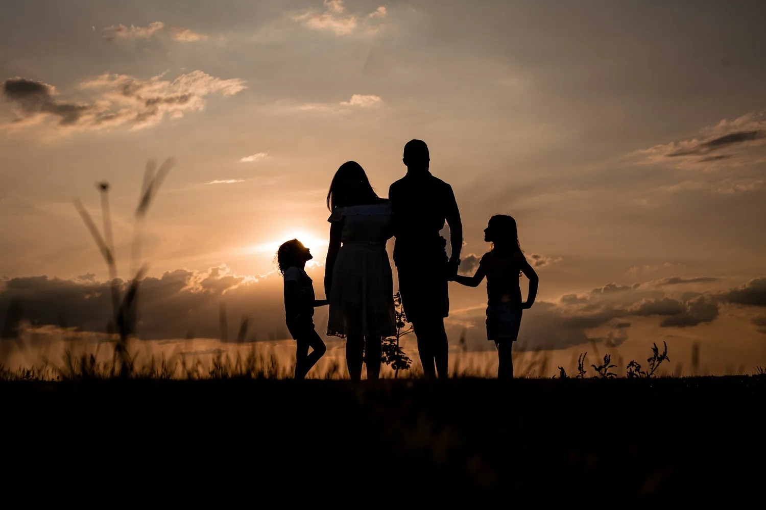 Pathlife Counseling & Consulting