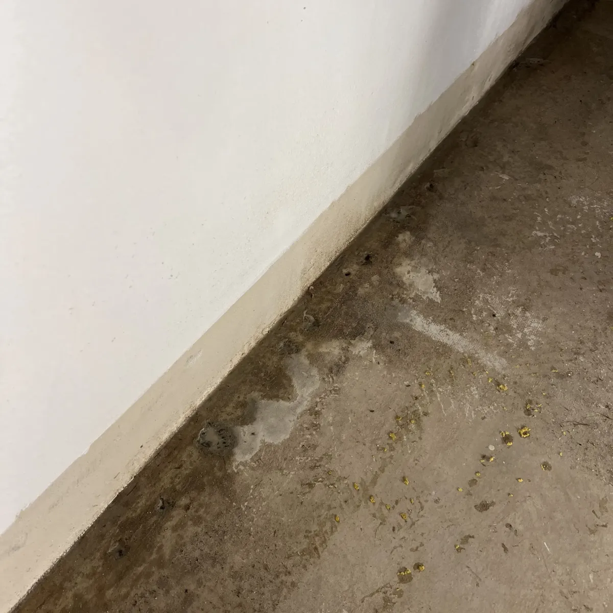 Clean wall and floor area after mould removal and restoration