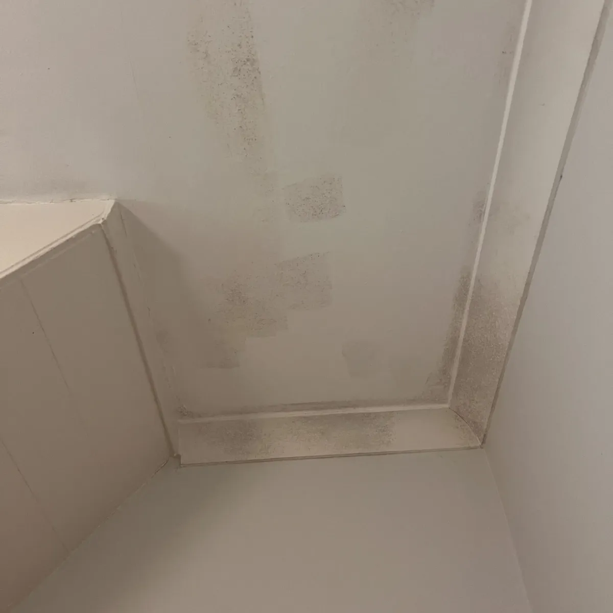 Mould stains visible on ceiling and upper wall before cleaning and treatment
