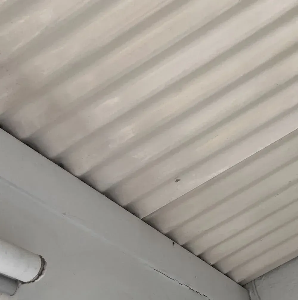 Clean ceiling surface after mould removal and restoration