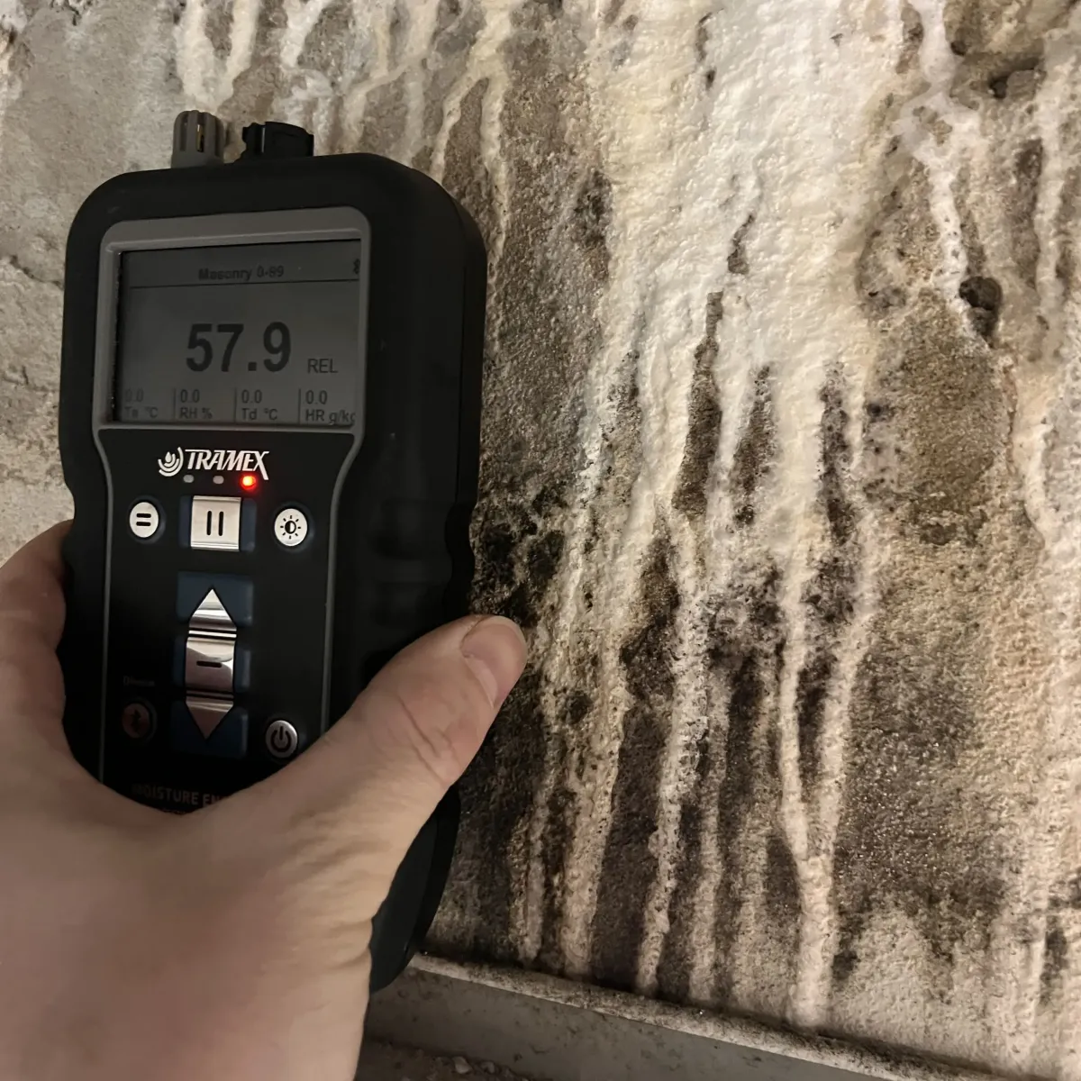 Moisture meter reading high moisture levels on mould-affected wall surface