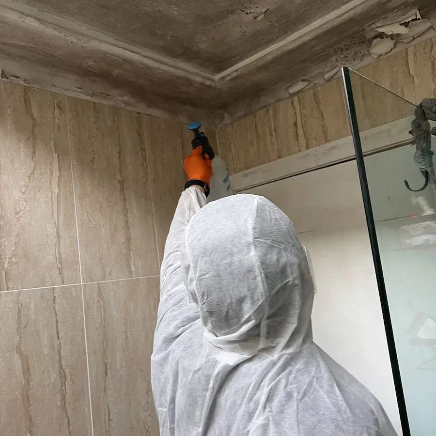 Technician inspecting mould-affected bathroom ceiling using professional moisture tools.
