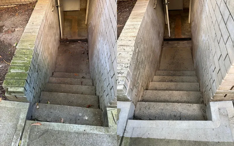Mould Remediation Across Common Areas of A Strata Apartment Complex in Gladesville