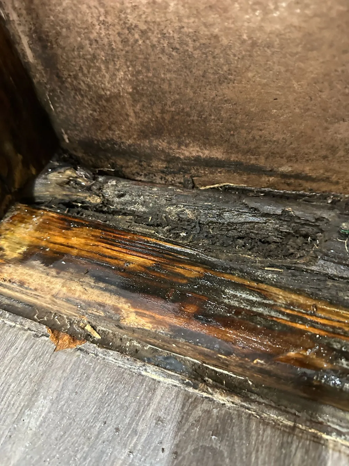 When Should Mould Be Cleaned and When Should Materials Be Removed?