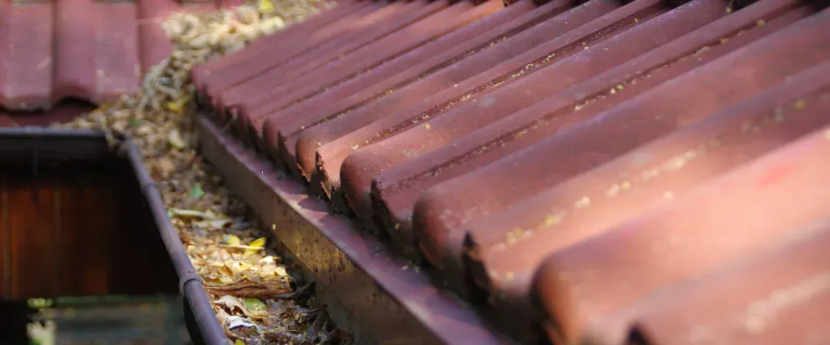 Clogged house gutter filled with dry leaves and debris on red tiled roof