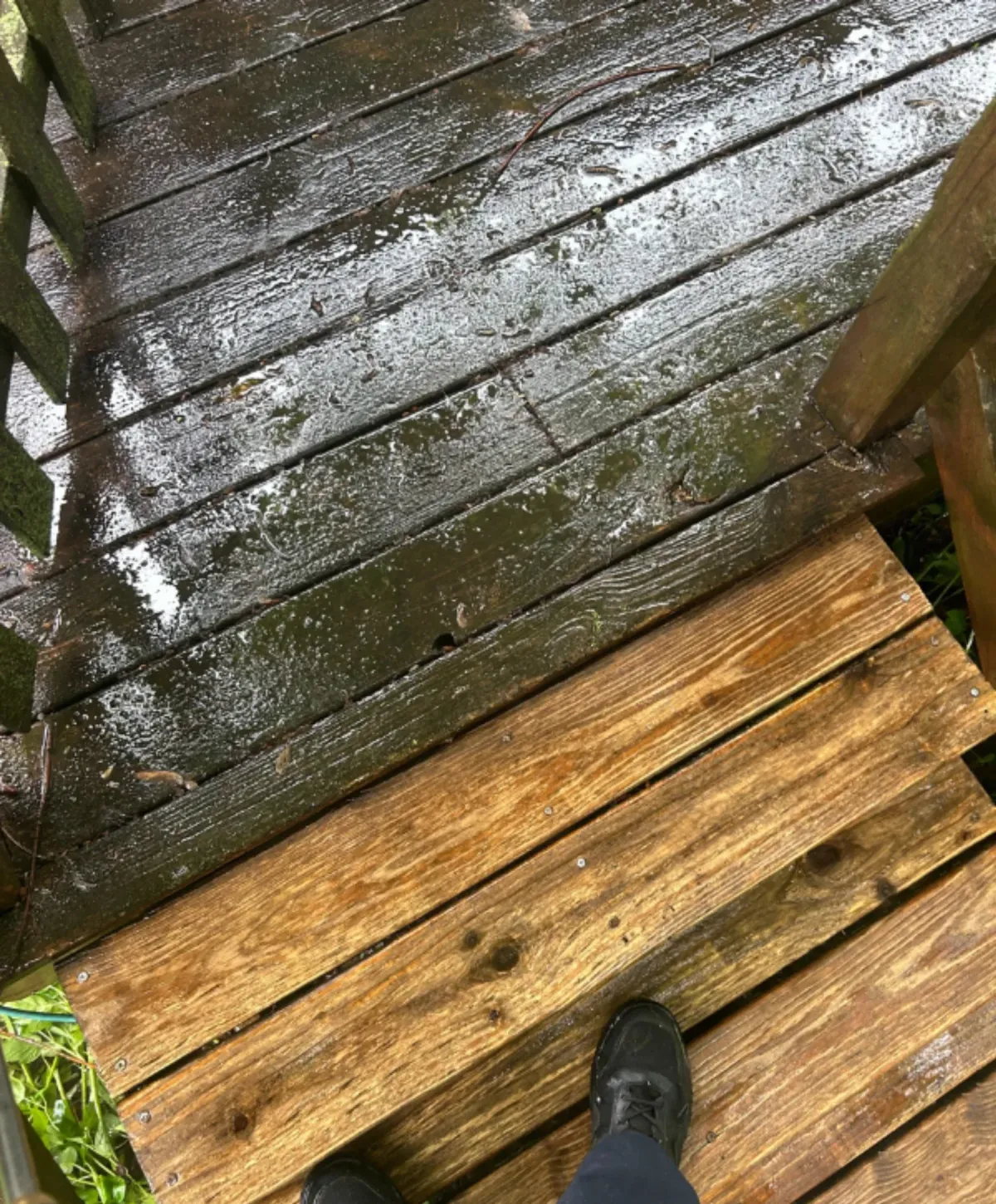 Slippery algae-covered wooden deck boards after rainfall