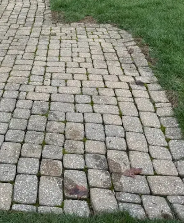 Concrete paver patio with settlement and gaps between stones