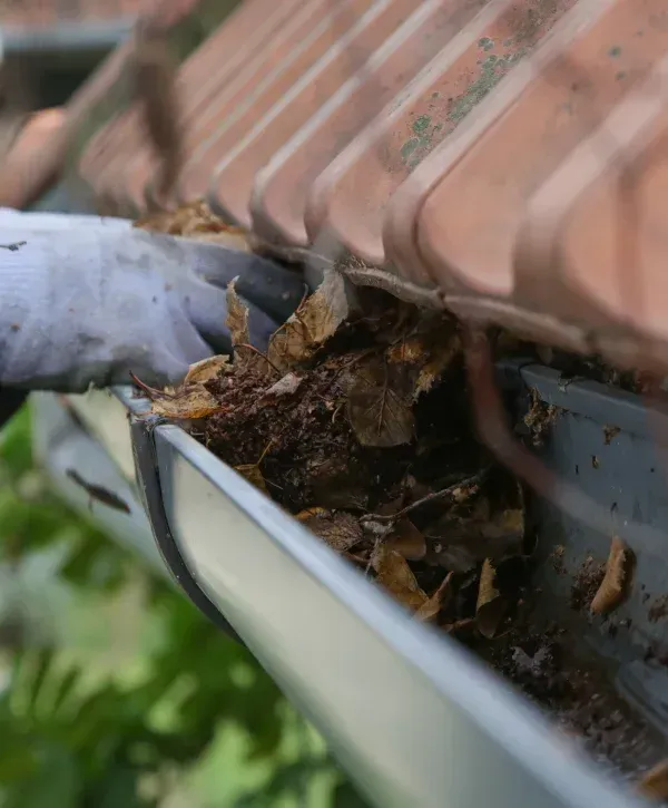 Clogged roof gutter filled with leaves and debris needing cleaning.
