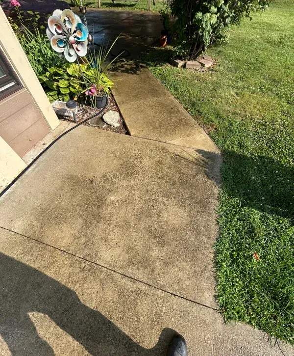 A concrete path with a garden bed beside a house wall, leading to a grassy lawn on a sunny day.