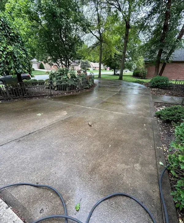 A wet concrete driveway with a garden hose coiled in the foreground, surrounded by trees and landscaping.