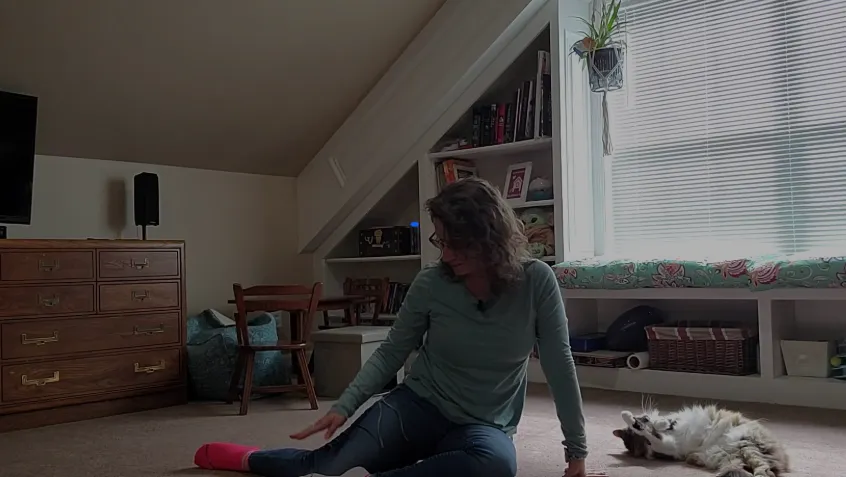 Still from the Feldenkrais rotation practice