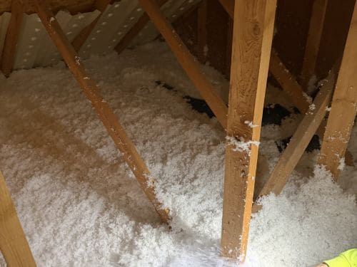 Attic Insulation Elk River