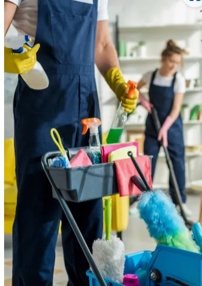 gutter cleaning services perth