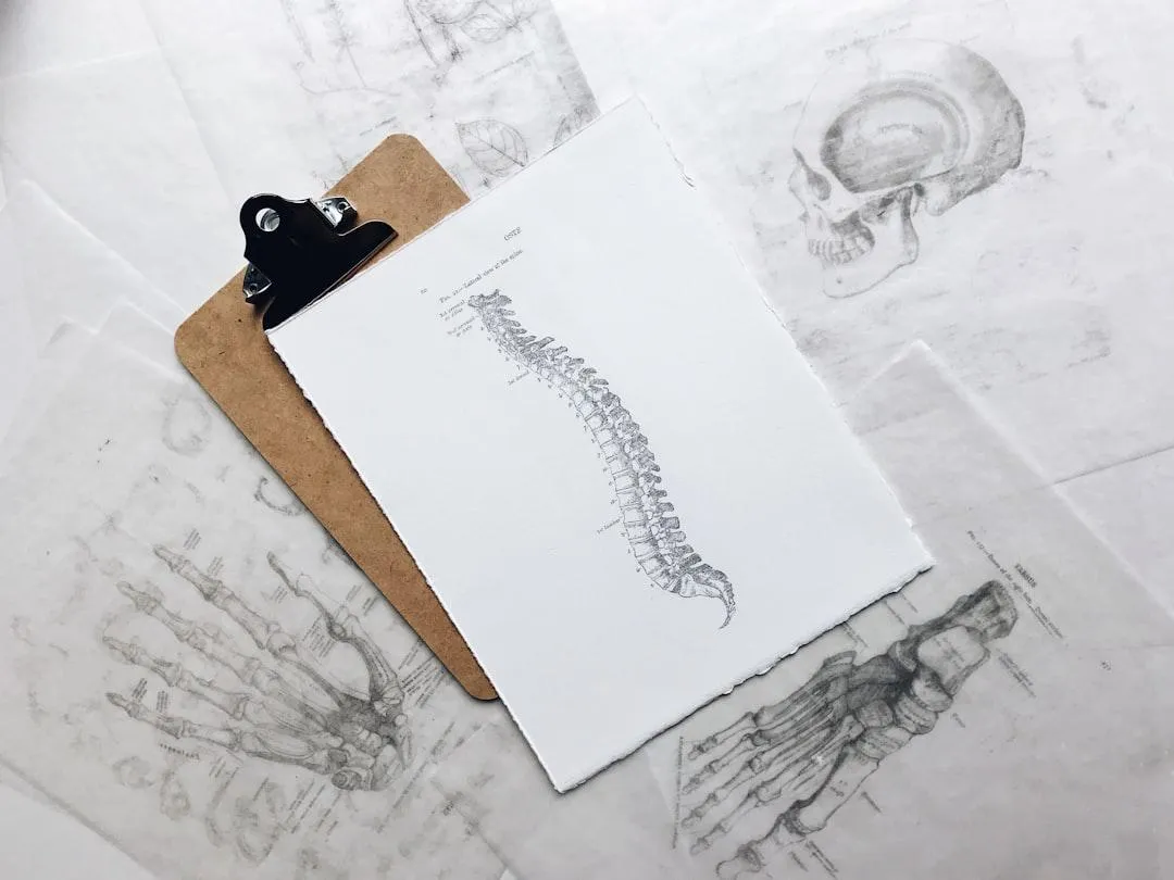 Illustration of spine on clipboard symbolizing chiropractic manipulation and spinal health assessment at Back & Beyond Spine Care Clinic