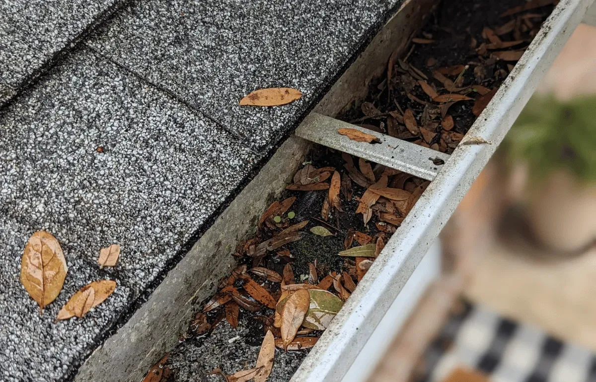 Close-up of roofing shingles with clogged gutters and fallen leaves, showing potential roof damage caused by improper gutter maintenance.