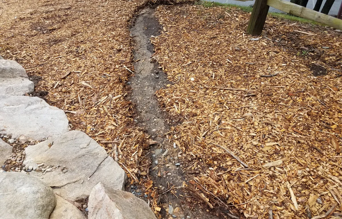 Eroded landscape with visible runoff path through mulch, showing the impact of uncontrolled water flow from gutters on landscaping.