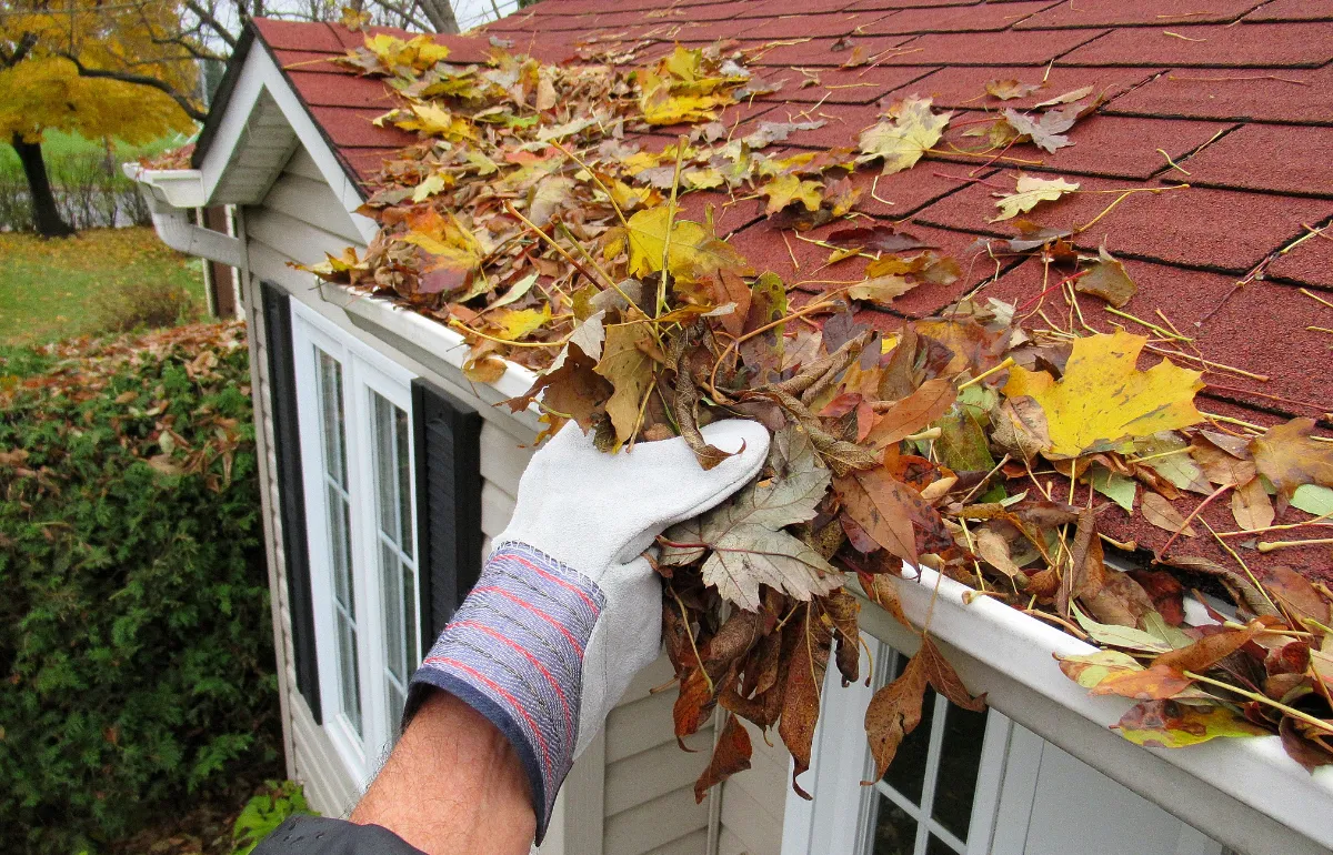 Worker removing leaves from a clogged gutter by hand, demonstrating gutter cleaning service to prevent blockages.