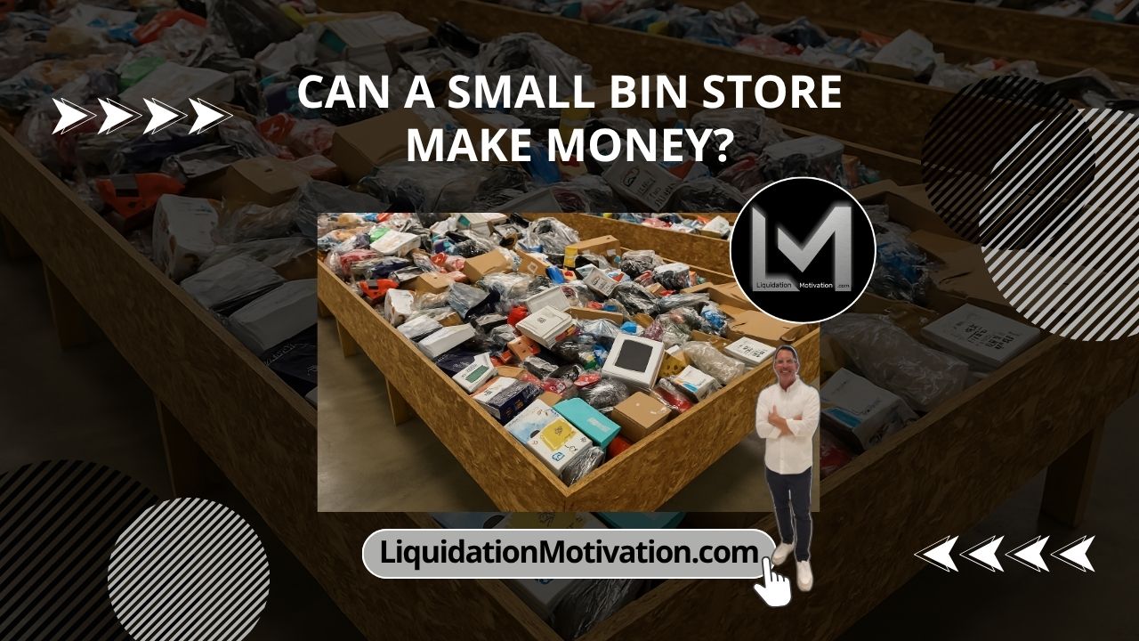 Can a Small Bin Store Make Money?
