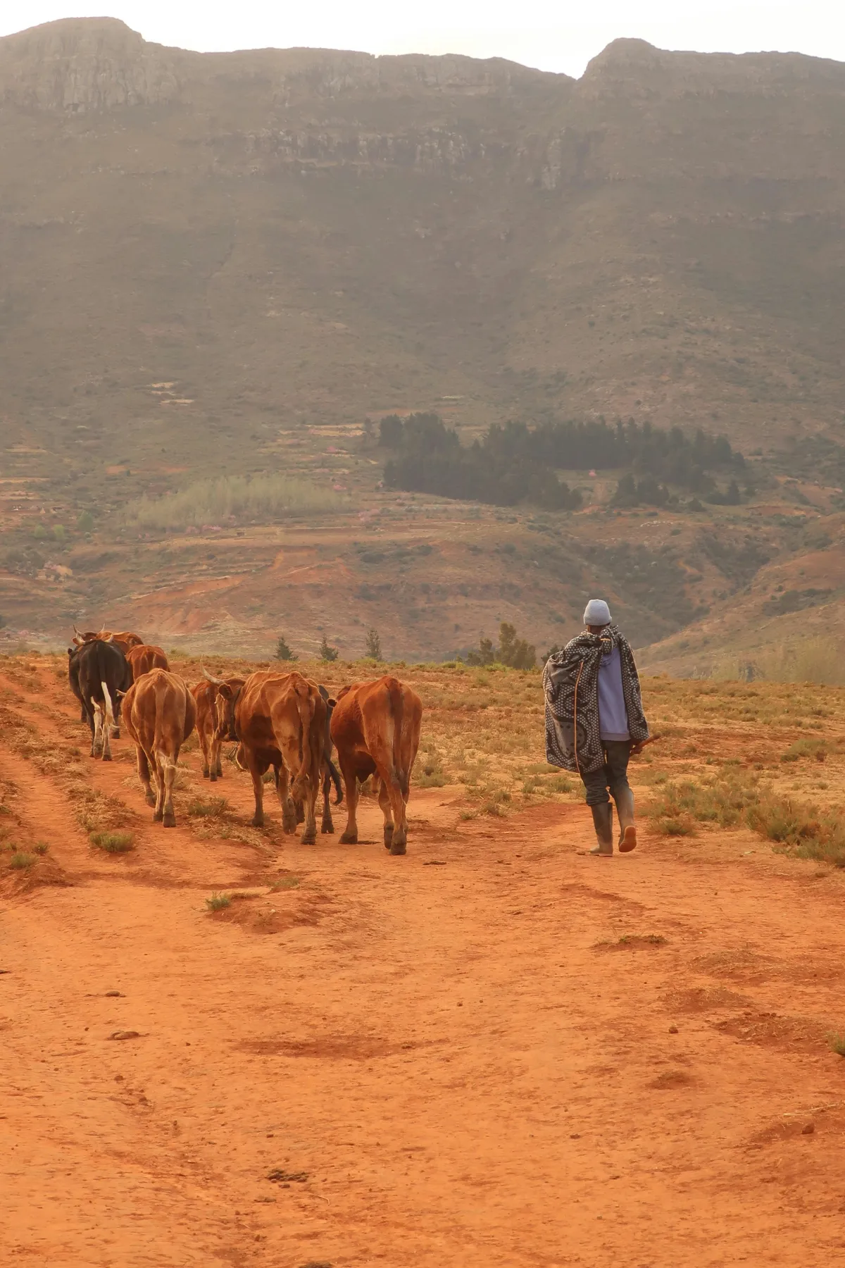 Rural farmer