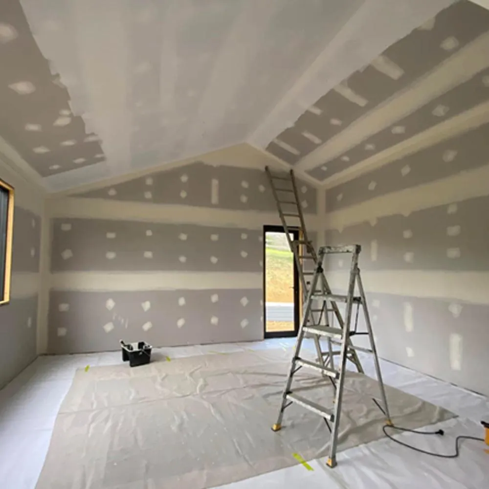 Wall restoration and repair painting Napier