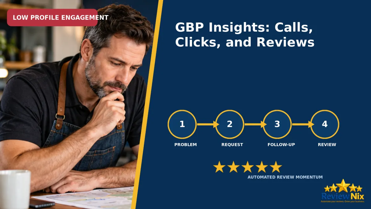 Google Business Profile Insights