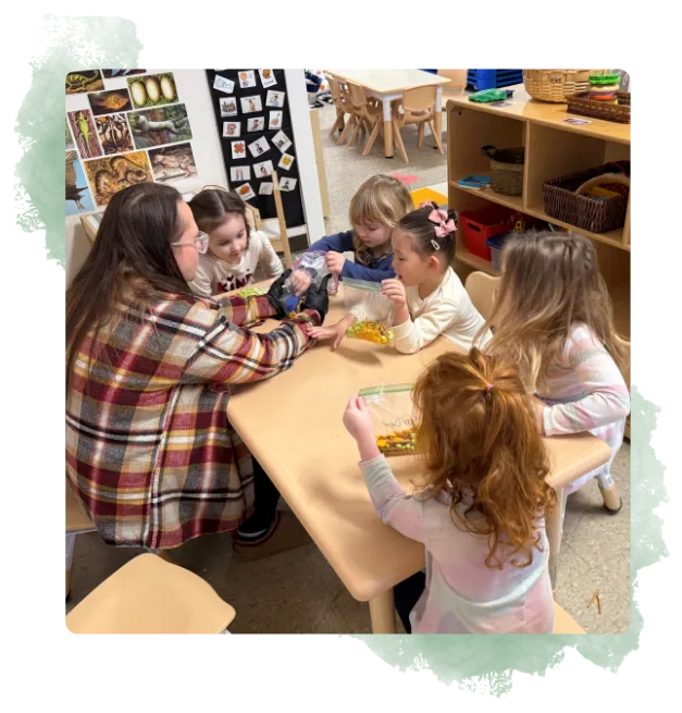 Preschool options