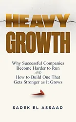 publish a business book about successful companies and growth